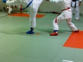 Hokkyokuko Cup